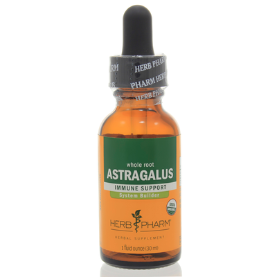Astragalus