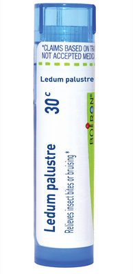 Ledum Palustre 30c